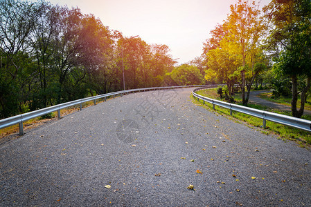 夏季清静的弯曲道路图片