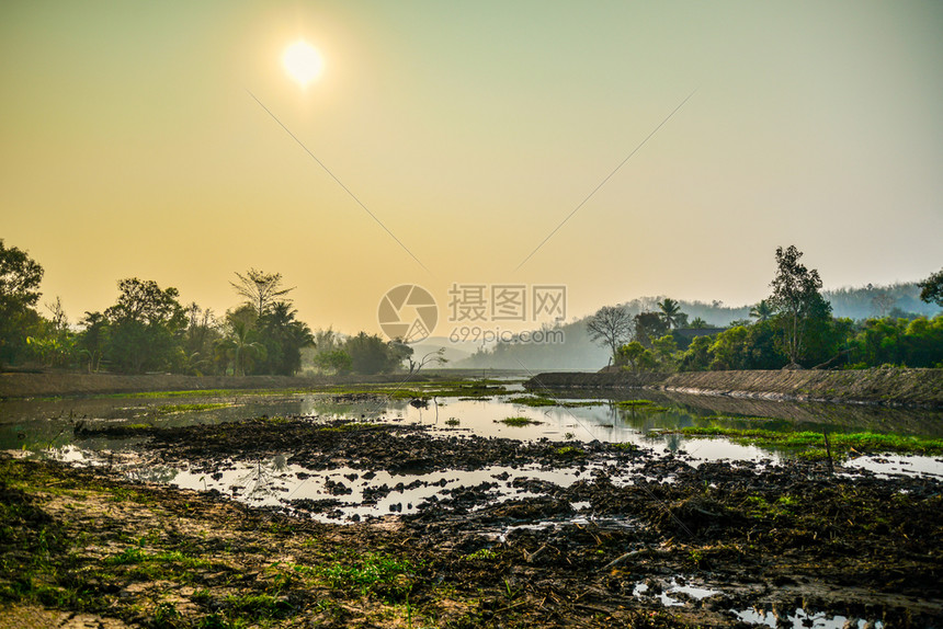 草原沼泽晨树和山地背景亚西乡村湖中泥土日出的沼泽图片