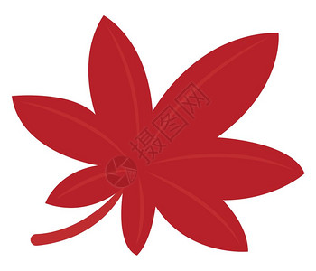 红叶李子插画-红叶李子卡通-中秋节插图-摄图网