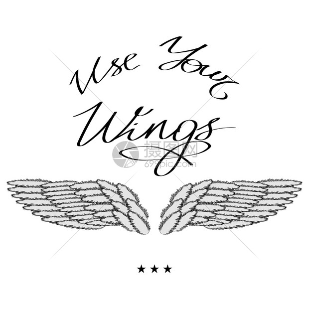 灰色模糊背景上的天使翼或凤凰形圆木设计鹰鸟的一部分标志品牌记使用你的翅膀文字设计要素手画运动字母力设计图片