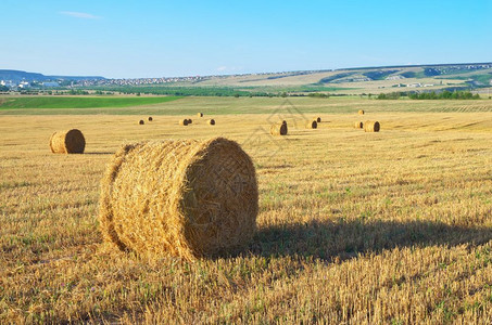 田野上的圆草篮夏季风景图片