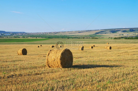 田野上的圆草篮夏季风景图片