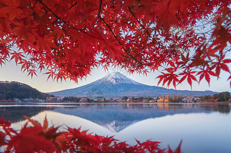 富士山上的枫叶图片