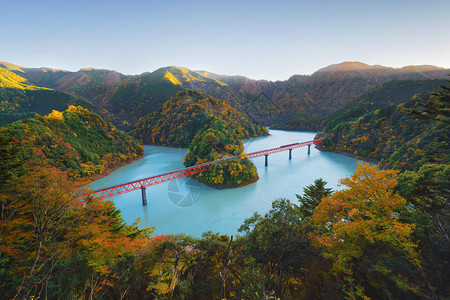 横渡长谷川铁路的蒸汽列车空中观察以在森林山丘和秋季蓝河的红落叶进行站岗日本静冈的红桥图片