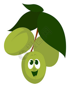 黑色鸽子快乐橄榄插图白色背景的矢量插画