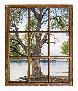 湖边海滩上的棉花树从古老的小木屋窗户看到图片