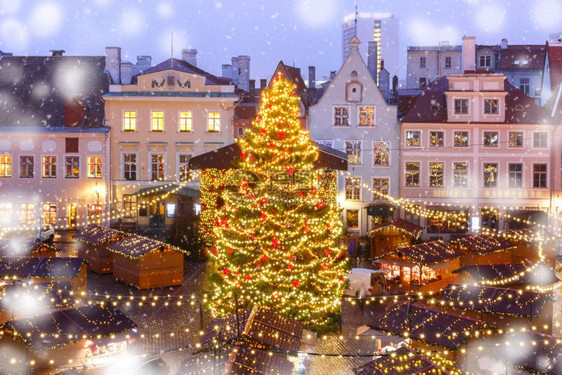 爱沙尼亚塔林市政厅广场或Raekoja小白板上装饰和照亮圣诞树市场图片
