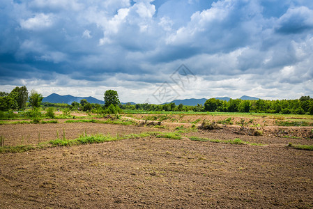 准备在农业地区干旱耕种土壤等待雨季耕种背景图片
