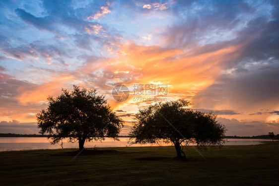 日落的树木景观河流多彩的天空云上两对树夫妇图片