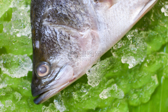 煮饭海产生鱼新鲜贝香蕉叶底冰图片