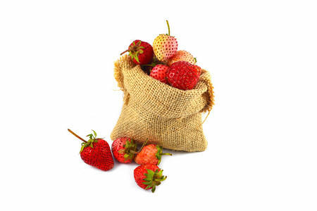 草莓有机农庄园白本底收获时孤立的麻袋中新鲜草莓图片