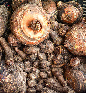以篮子背景从农场收获的新鲜沥青YautiaLilaSatoimo土豆甜油根图片