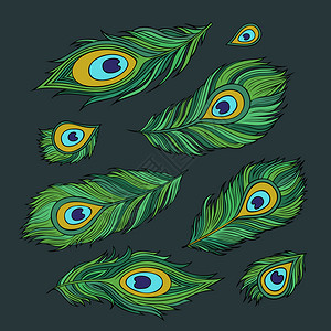 孔雀抽象绿色羽茎装饰成套物图片