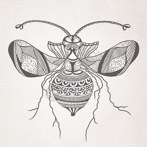 矢量抽象卡通装饰昆虫蝴蝶草图图片