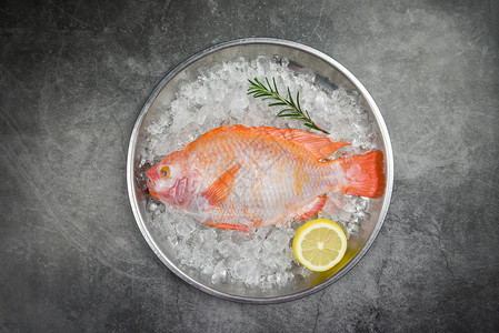 冰上新鲜的鱼含草药香料迷迭和柠檬原生鱼黑底的红罗非图片