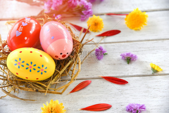 复活节鸡蛋装在巢饰中白色背景上配有彩多的春花瓣图片