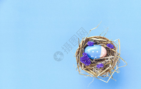 复活节鸡蛋装篮巢饰蓝底有紫静态花朵图片