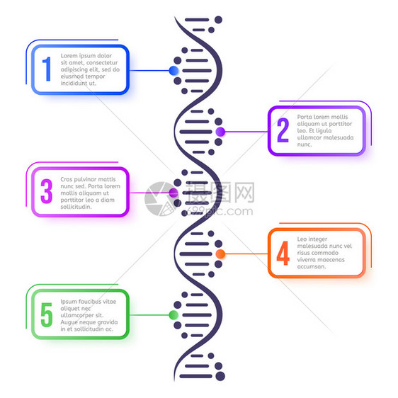 DNA分子概念抽象图表分子螺旋体结构科学计划生物遗传染色体矢量系统信息学概念演示设计元素海报模板分子螺旋体结构科学计划演示布局设图片