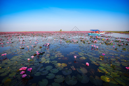 在泰国乌登萨尼UdonThani的清晨地标上图片