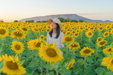 在泰国Lopburi自然花园公的节假日外出旅行中快乐的亚洲女在盛开的向日葵田中享受和放松图片