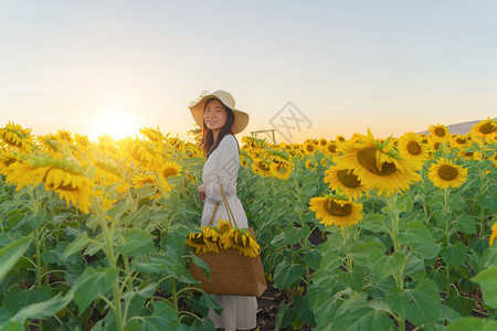 在泰国Lopburi自然花园公的节假日外出旅行中快乐的亚洲女在盛开的向日葵田中享受和放松图片