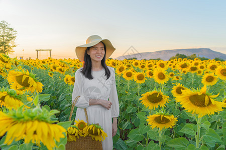 在泰国Lopburi自然花园公的节假日外出旅行中快乐的亚洲女在盛开的向日葵田中享受和放松图片