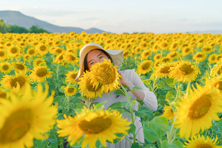 在泰国Lopburi自然花园公的节假日外出旅行中快乐的亚洲女在盛开的向日葵田中享受和放松图片