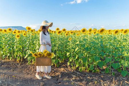 在泰国Lopburi自然花园公的节假日外出旅行中快乐的亚洲女在盛开的向日葵田中享受和放松图片