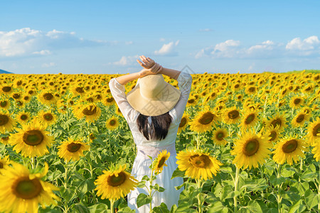 在泰国Lopburi自然花园公的节假日外出旅行中快乐的亚洲女在盛开的向日葵田中享受和放松图片