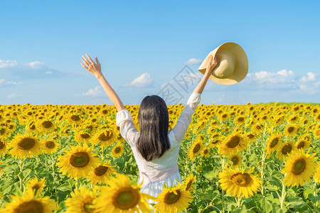 在泰国Lopburi自然花园公的节假日外出旅行中快乐的亚洲女在盛开的向日葵田中享受和放松图片