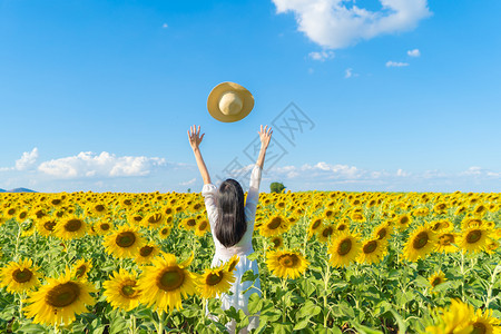 在泰国Lopburi自然花园公的节假日外出旅行中快乐的亚洲女在盛开的向日葵田中享受和放松图片