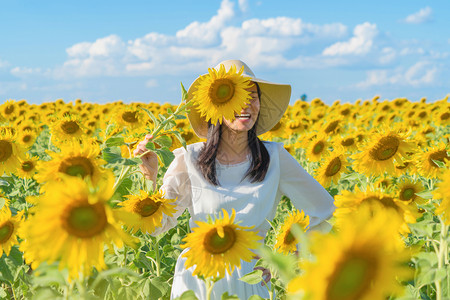 向日葵微笑在泰国Lopburi自然花园公的节假日外出旅行中快乐的亚洲女在盛开的向日葵田中享受和放松背景