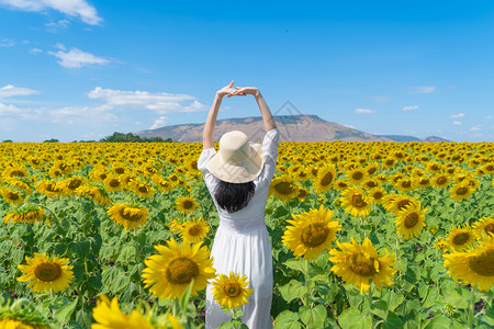 在泰国Lopburi自然花园公的节假日外出旅行中快乐的亚洲女在盛开的向日葵田中享受和放松图片