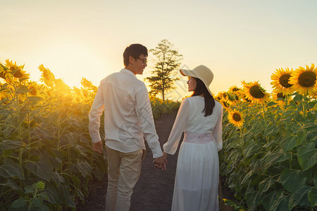 一对夫妇日落一对亚洲夫妇在泰国Lopburi日落时在自然花园公户外享受放松散步在向日葵田中互握手背景