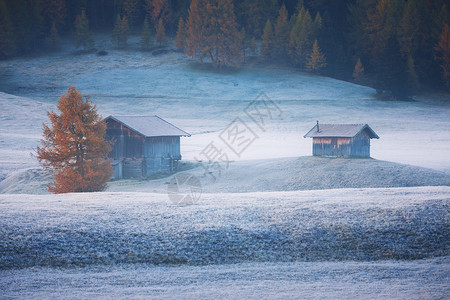 美丽的阿尔卑斯山地貌秋雾的清晨赛瑟阿尔姆佩迪西乌日出时与兰科夫尔山合影阿托迪格南蒂罗尔意大利欧洲图片