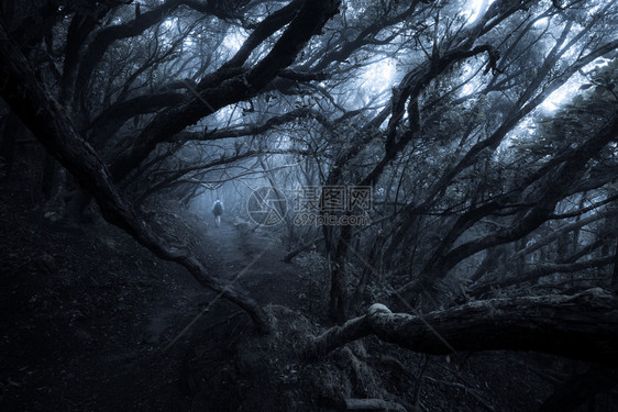 男人行走在黑暗的雾林中图片