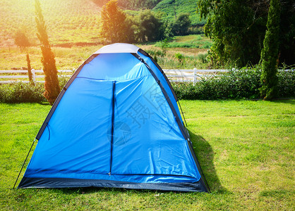 在绿草地上美丽的一排多彩蓝色帐篷露营供游客旅行放松户外假日图片