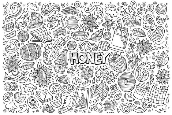 矢量手绘制的蜂蜜主题项目对象和符号的涂鸦漫画集矢量卡的蜂蜜主题对象集图片