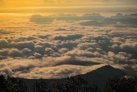 令人惊叹的清晨日出在薄雾地貌色彩多的夏季风景山顶上的雾森林风景图片