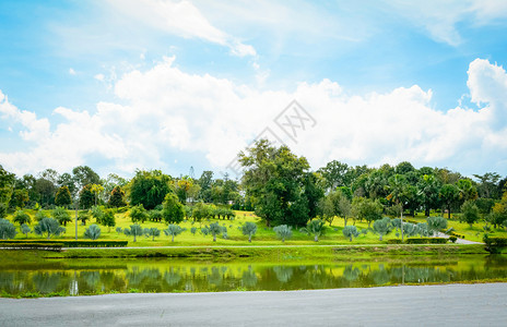 公园夏季风景湖绿池塘棕榈树花园和蓝天空背景图片