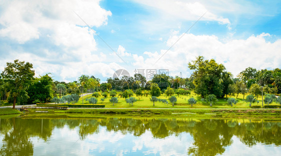 公园夏季风景湖绿池塘棕榈树花园和蓝天空背景图片