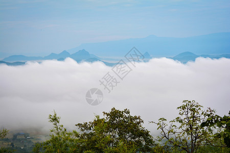 山背景的雾覆盖森林薄风景PhuBoBitLoei泰国图片