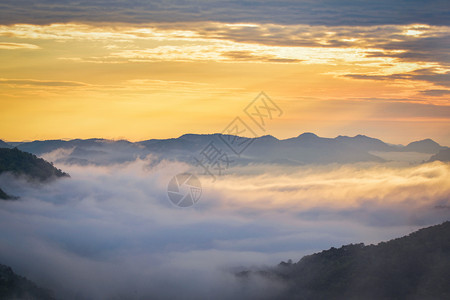 山上美丽的日出景色山上有雾薄覆盖森林图片