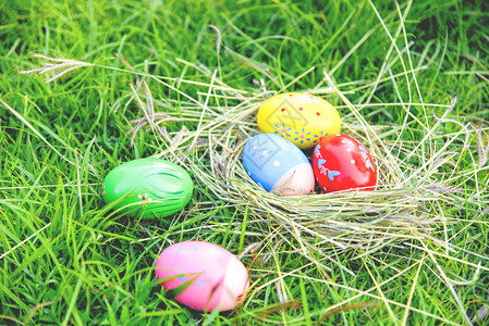复活节鸡蛋在户外绿色草地上猎在草地上狂犬鸡蛋在草地上举行彩色蛋装饰的节日活动图片