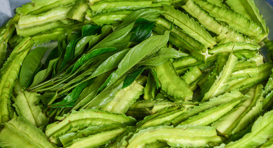 新鲜绿翅膀豆蔬菜背景其他名称果阿豆四角Psophopcarpus四角面包图片