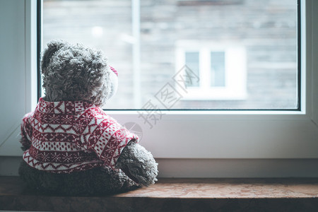 可爱的泰迪熊坐在窗台上望着外图片