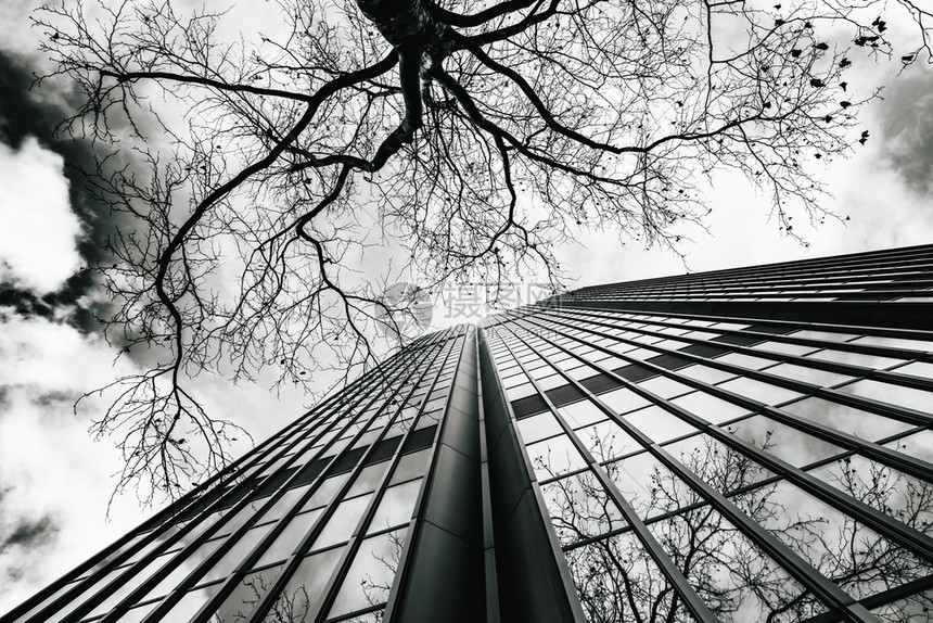 在商业中心区的摩天大楼玻璃表面视图黑色和白图片