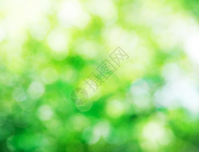 绿色bokeh背景抽象绿色图片