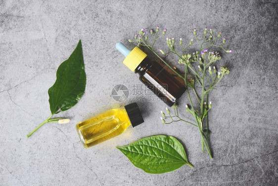 木叶和绿有机物阿洛马疗法草药油瓶芳香叶草配方包括野花和木材顶视图的草药图片