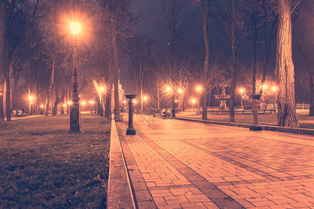路灯下美女夜间城市秋天公园背景